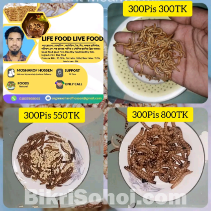 Live food available
